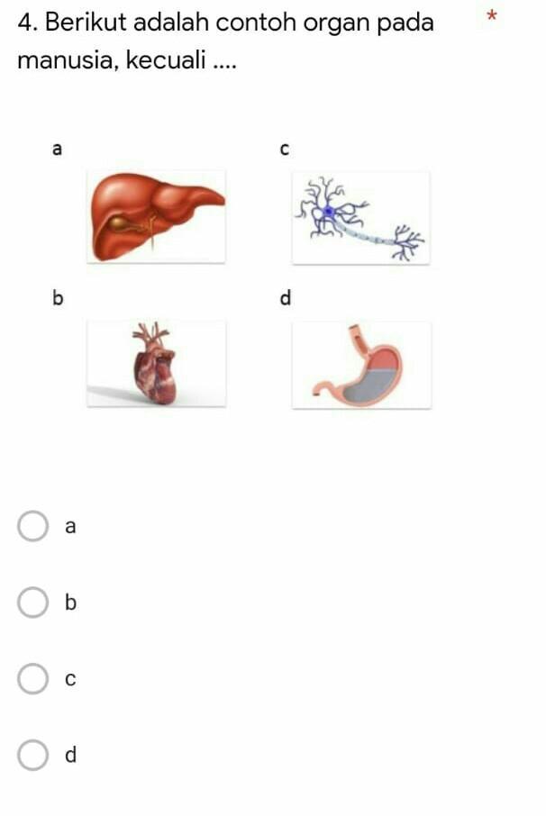 Detail Contoh Organ Manusia Nomer 16