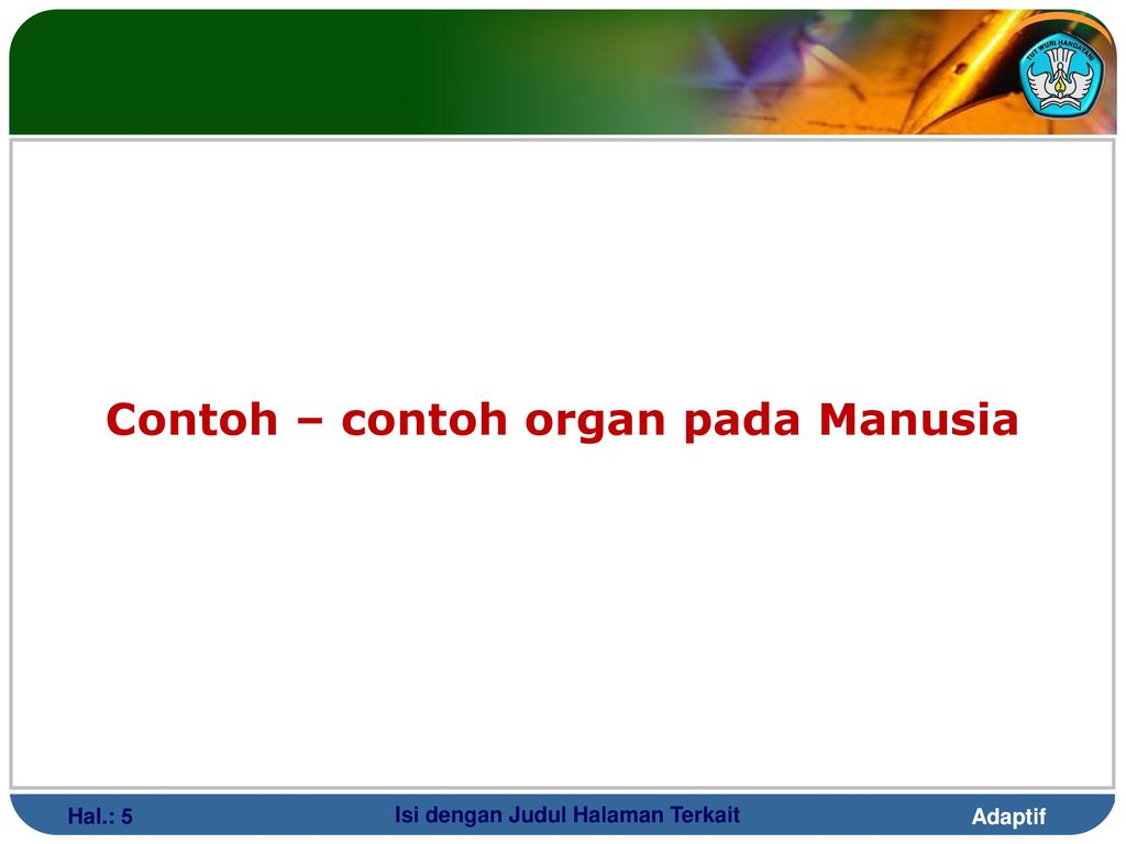 Detail Contoh Organ Pada Manusia Nomer 35