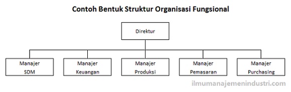 Detail Contoh Organisasi Fungsional Nomer 2