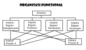 Detail Contoh Organisasi Fungsional Nomer 4