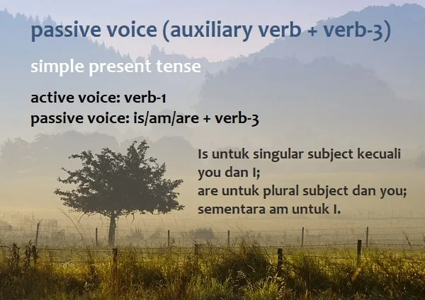 Detail Contoh Passive Voice Simple Present Nomer 45