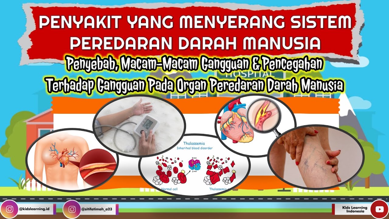 Detail Contoh Penyakit Yang Bisa Mengganggu Organ Peredaran Darah Manusia Nomer 46