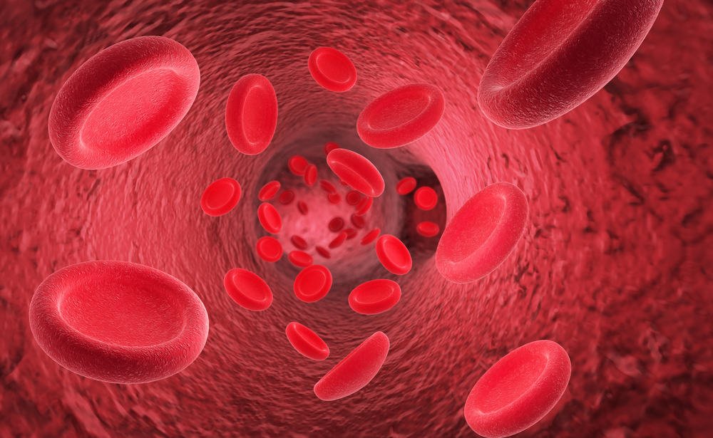 Detail Contoh Penyakit Yang Bisa Mengganggu Organ Peredaran Darah Manusia Nomer 49