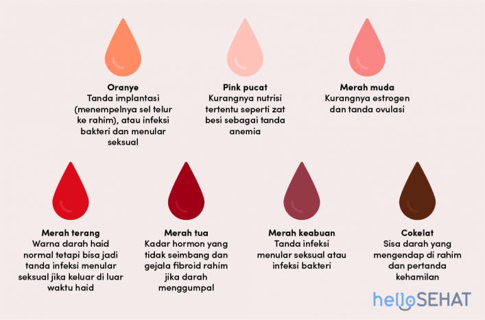 Detail Contoh Perbedaan Haid Dan Hamil Nomer 5