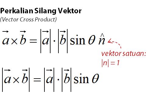 Detail Contoh Perkalian Vektor Nomer 11