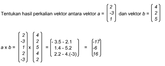 Detail Contoh Perkalian Vektor Nomer 12