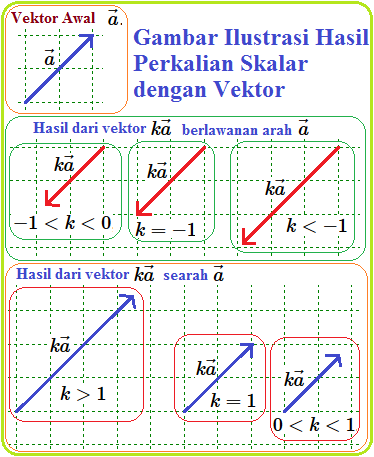 Detail Contoh Perkalian Vektor Nomer 22