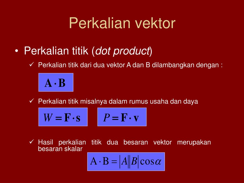 Detail Contoh Perkalian Vektor Nomer 28