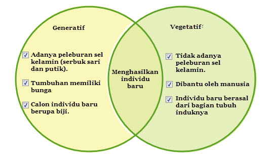 Detail Contoh Perkembangbiakan Secara Generatif Nomer 36