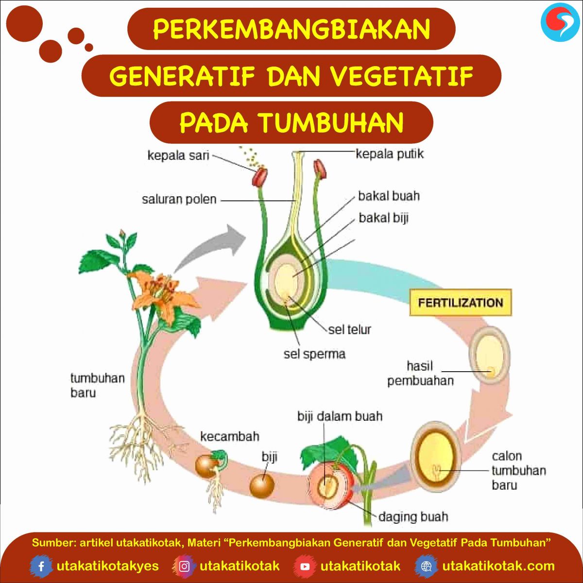 Detail Contoh Perkembangbiakan Secara Generatif Nomer 7