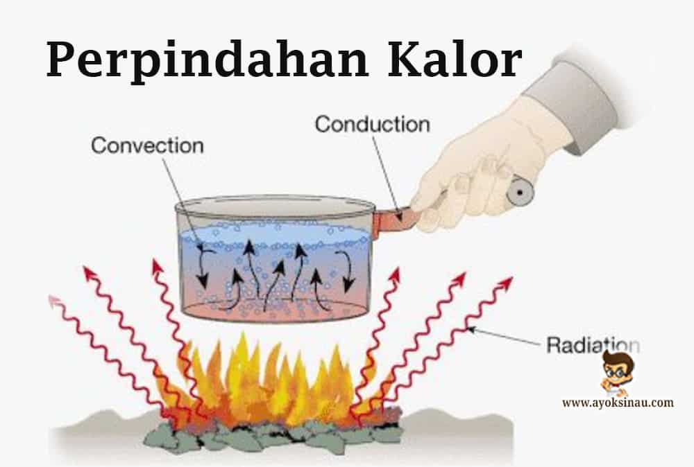 Detail Contoh Perpindahan Kalor Dalam Kehidupan Sehari Hari Nomer 5