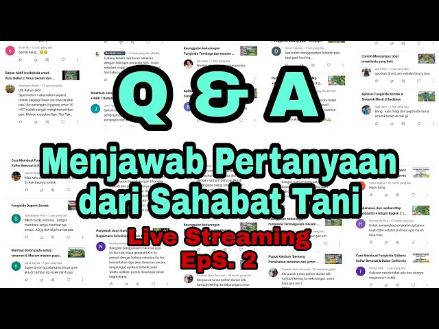 Detail Contoh Pertanyaan Untuk Qa Nomer 21