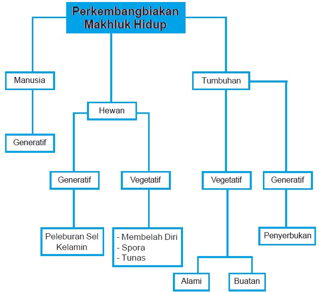 Detail Contoh Pertumbuhan Dan Perkembangan Pada Manusia Nomer 48