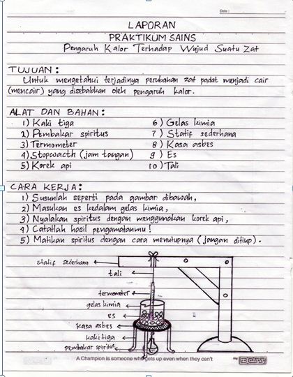 Detail Contoh Portofolio Bahasa Inggris Nomer 40