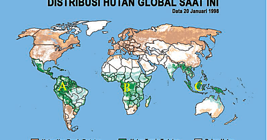 Detail Contoh Potensi Hutan Kayu Dan Persebarannya Nomer 11