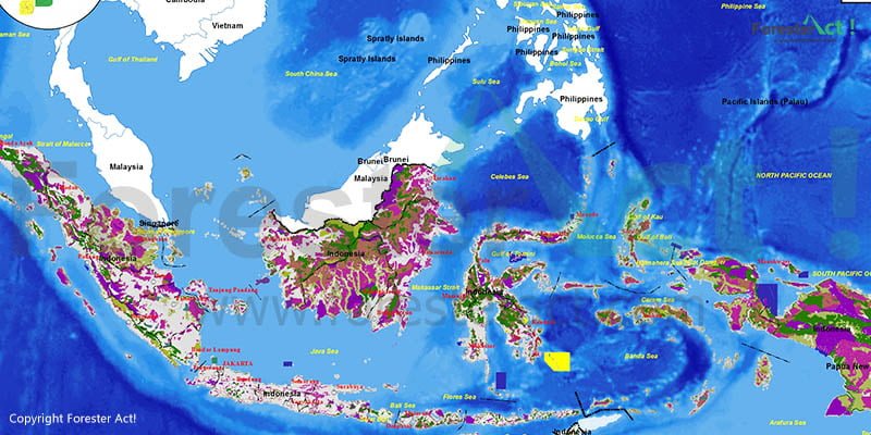 Detail Contoh Potensi Hutan Kayu Dan Persebarannya Nomer 26