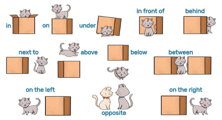 Detail Contoh Preposition At In On Bahasa Inggris Nomer 44