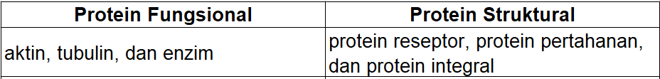 Detail Contoh Protein Fungsional Nomer 2