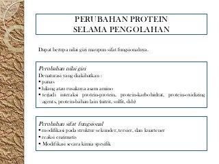 Detail Contoh Protein Fungsional Nomer 21