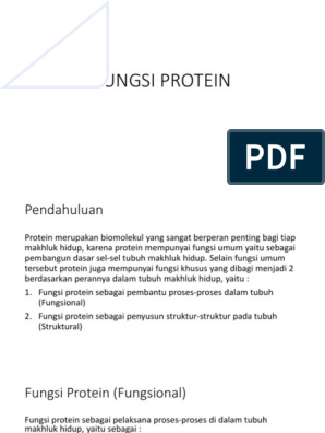 Detail Contoh Protein Fungsional Nomer 25