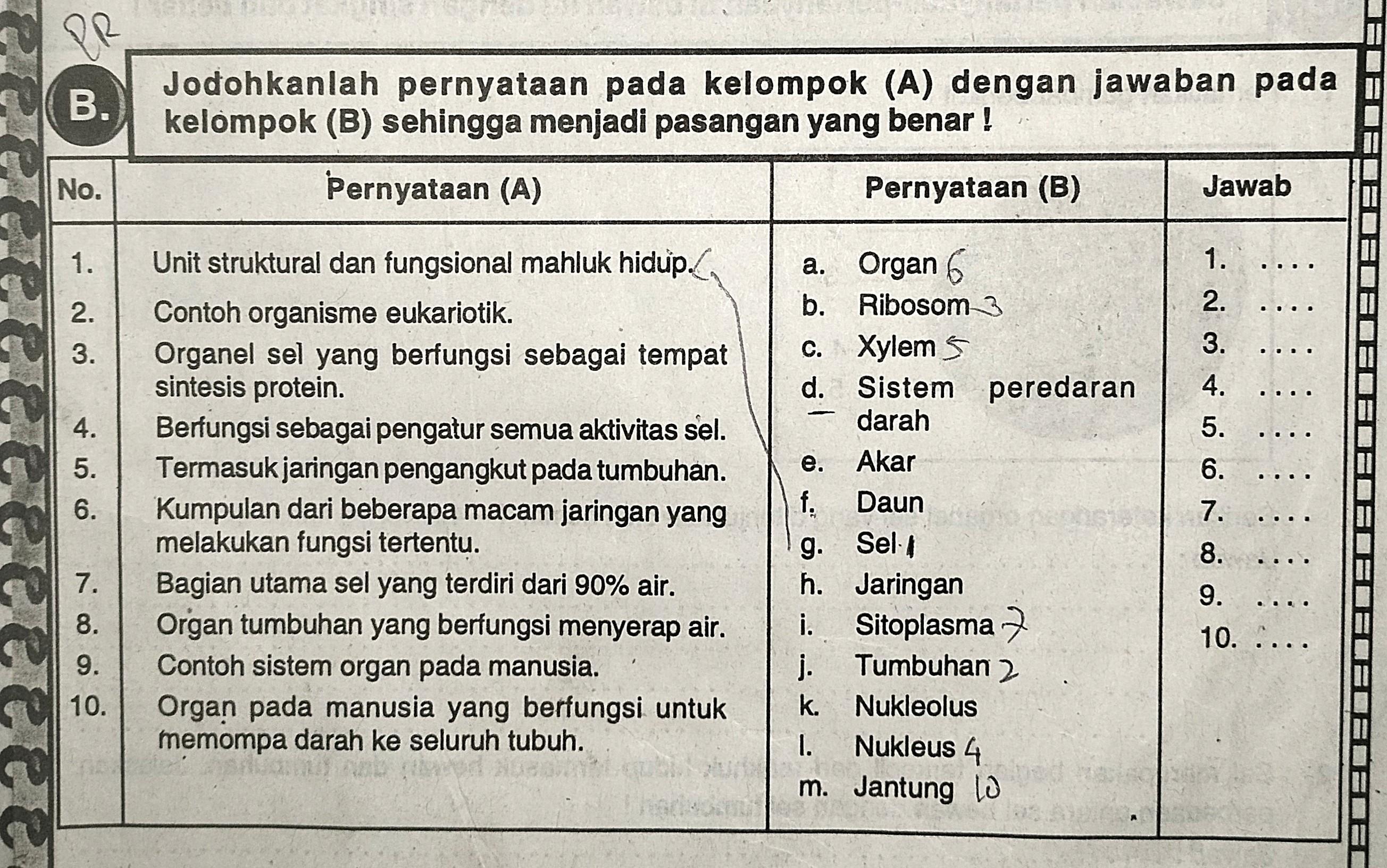 Detail Contoh Protein Fungsional Nomer 28