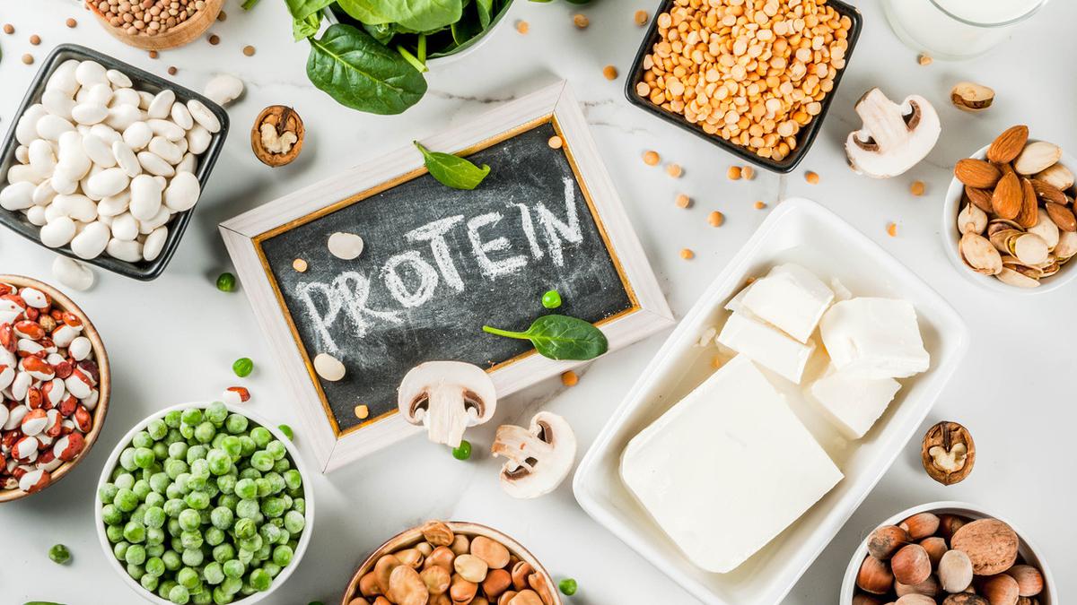 Detail Contoh Protein Hewani Adalah Nomer 17