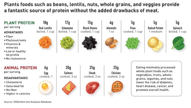 Detail Contoh Protein Hewani Adalah Nomer 7