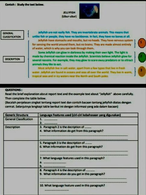 Detail Contoh Report Text Beserta Generic Structure Nomer 17