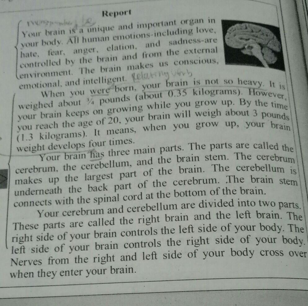 Detail Contoh Report Text Beserta Generic Structure Nomer 33