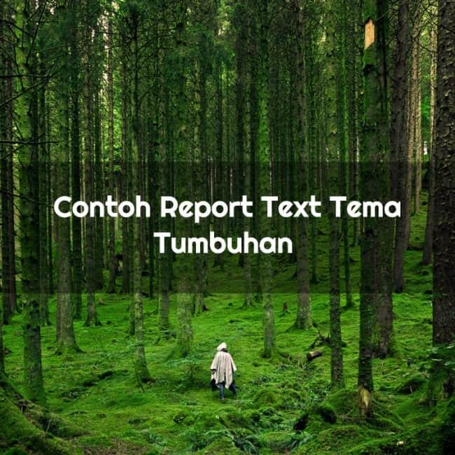 Detail Contoh Report Text Beserta Generic Structure Nomer 38