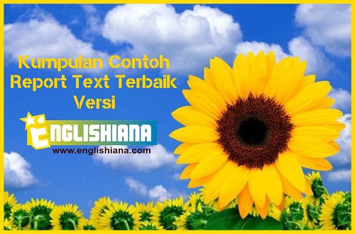 Detail Contoh Report Text Beserta Generic Structure Dan Terjemahannya Nomer 5