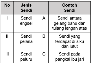 Detail Contoh Sendi Pelana Terdapat Diantara Tulang Nomer 43