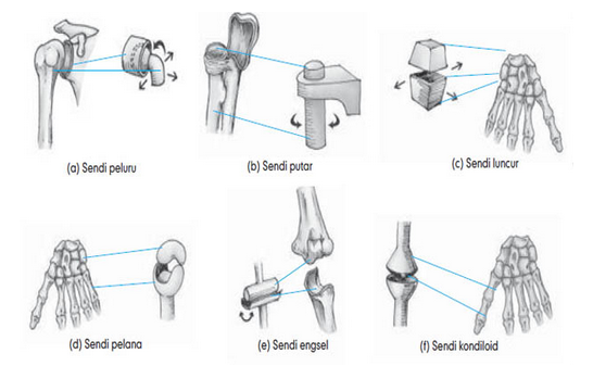 Detail Contoh Sendi Putar Nomer 14