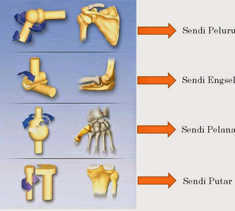 Detail Contoh Sendi Putar Nomer 3
