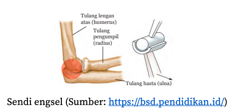 Detail Contoh Sendi Putar Nomer 36