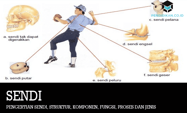 Detail Contoh Sendi Putar Nomer 45