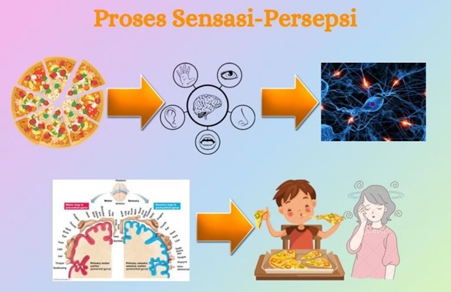 Detail Contoh Sensasi Dan Persepsi Nomer 28