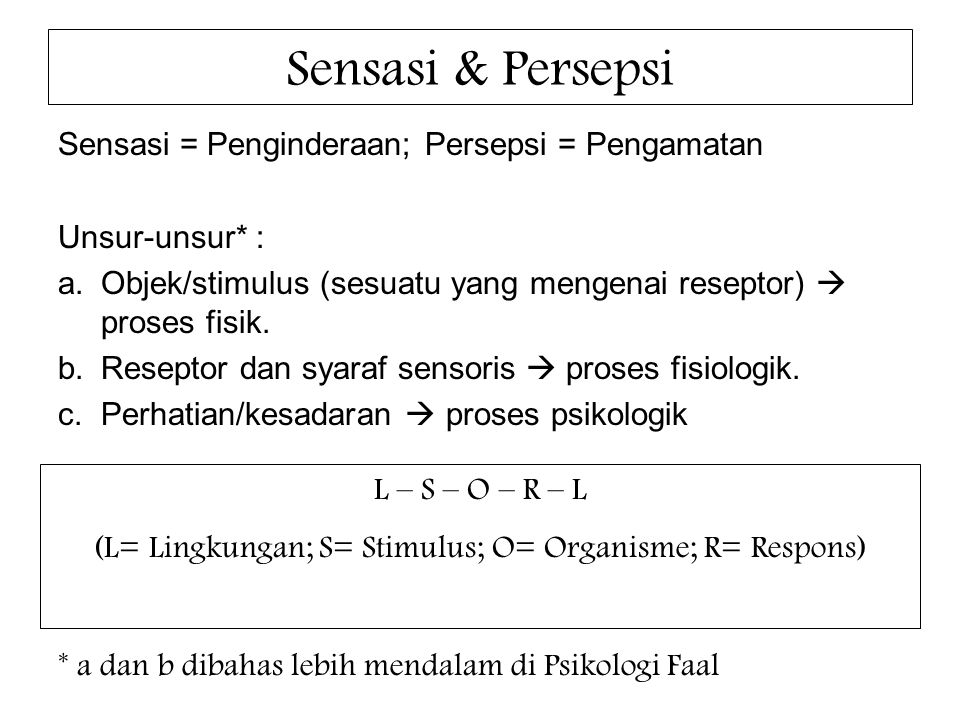 Detail Contoh Sensasi Dan Persepsi Nomer 29