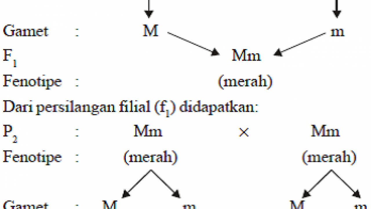 Detail Contoh Sifat Manusia Nomer 24