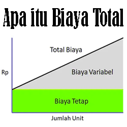 Detail Contoh Soal Biaya Total Nomer 19