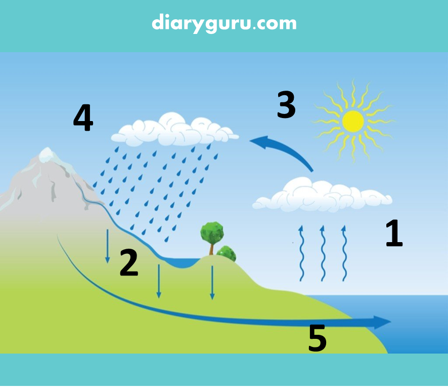 Detail Contoh Soal C1 Sampai C6 Untuk Sd Nomer 19