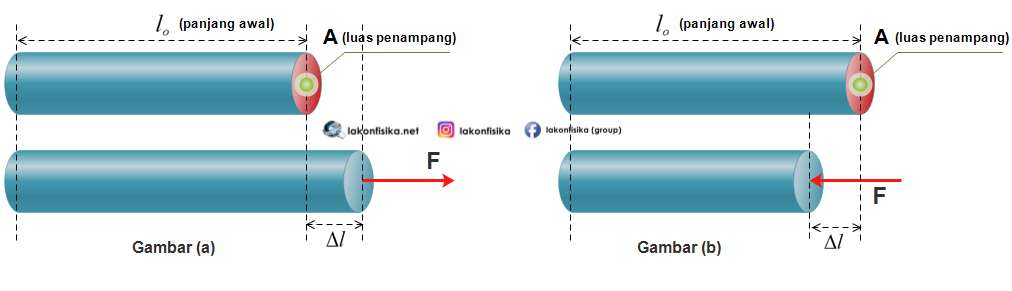 Detail Contoh Soal Elastisitas Fisika Dan Jawabannya Nomer 29