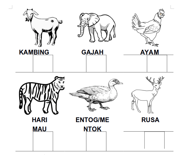 Detail Contoh Soal Kognitif Untuk Anak Tk Nomer 12