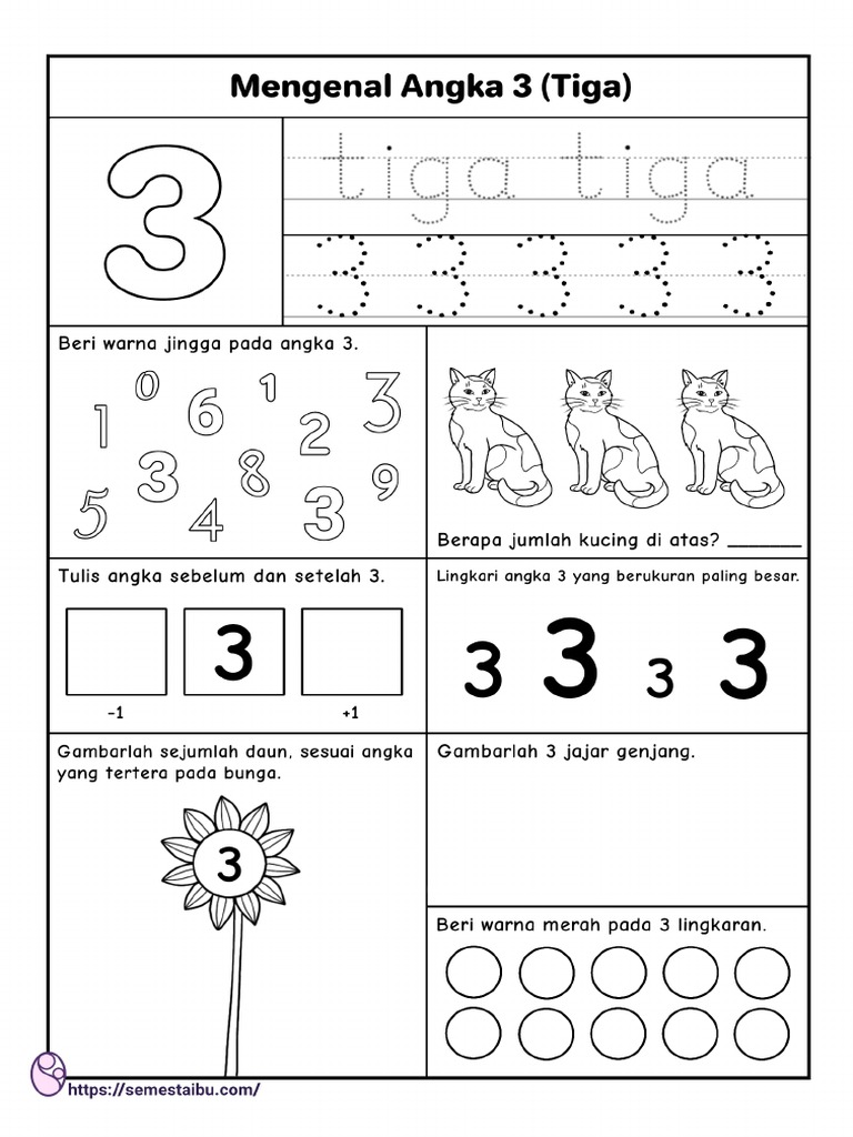 Detail Contoh Soal Kognitif Untuk Anak Tk Nomer 24