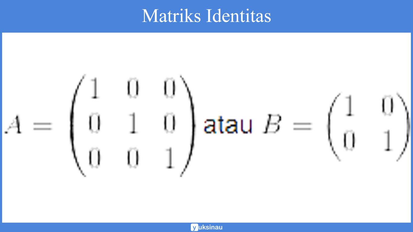 Contoh Soal Matriks Identitas - KibrisPDR