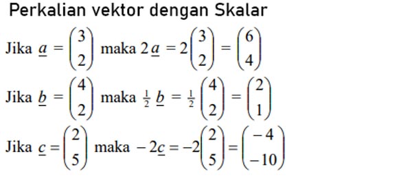 Detail Contoh Soal Perkalian Vektor Nomer 19