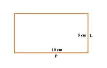 Detail Contoh Soal Persegi Panjang Nomer 8