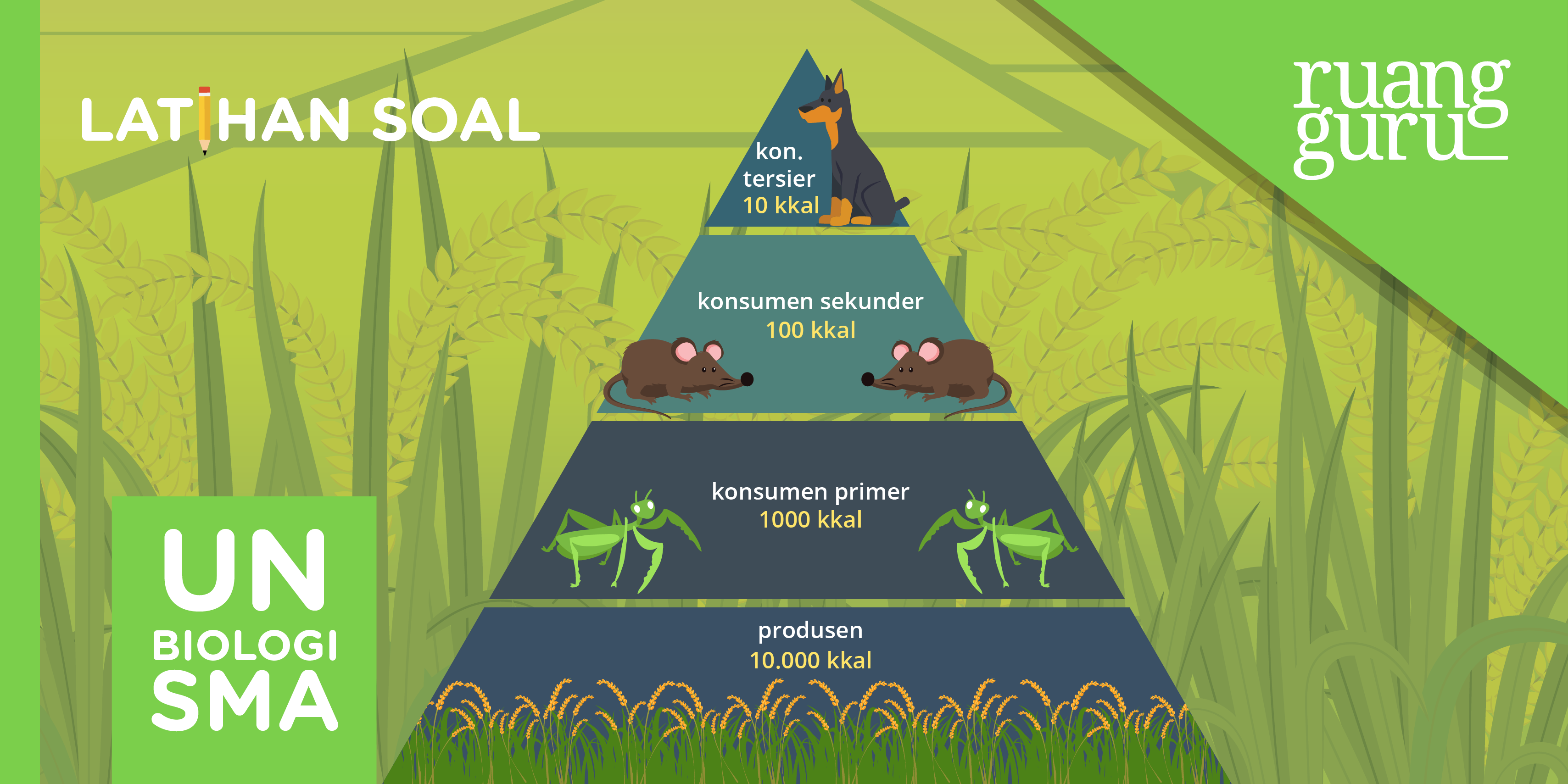 Detail Contoh Soal Produktivitas Dan Jawabannya Nomer 57