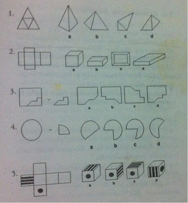 Detail Contoh Soal Tes Iq Gambar Dan Jawabannya Nomer 2