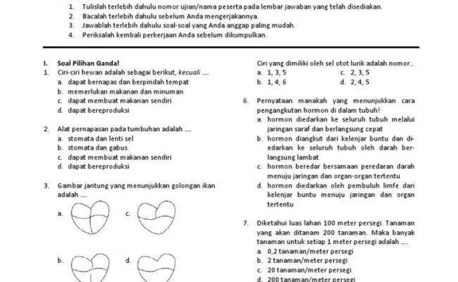 Detail Contoh Soal Tes Iq Gambar Dan Jawabannya Nomer 27